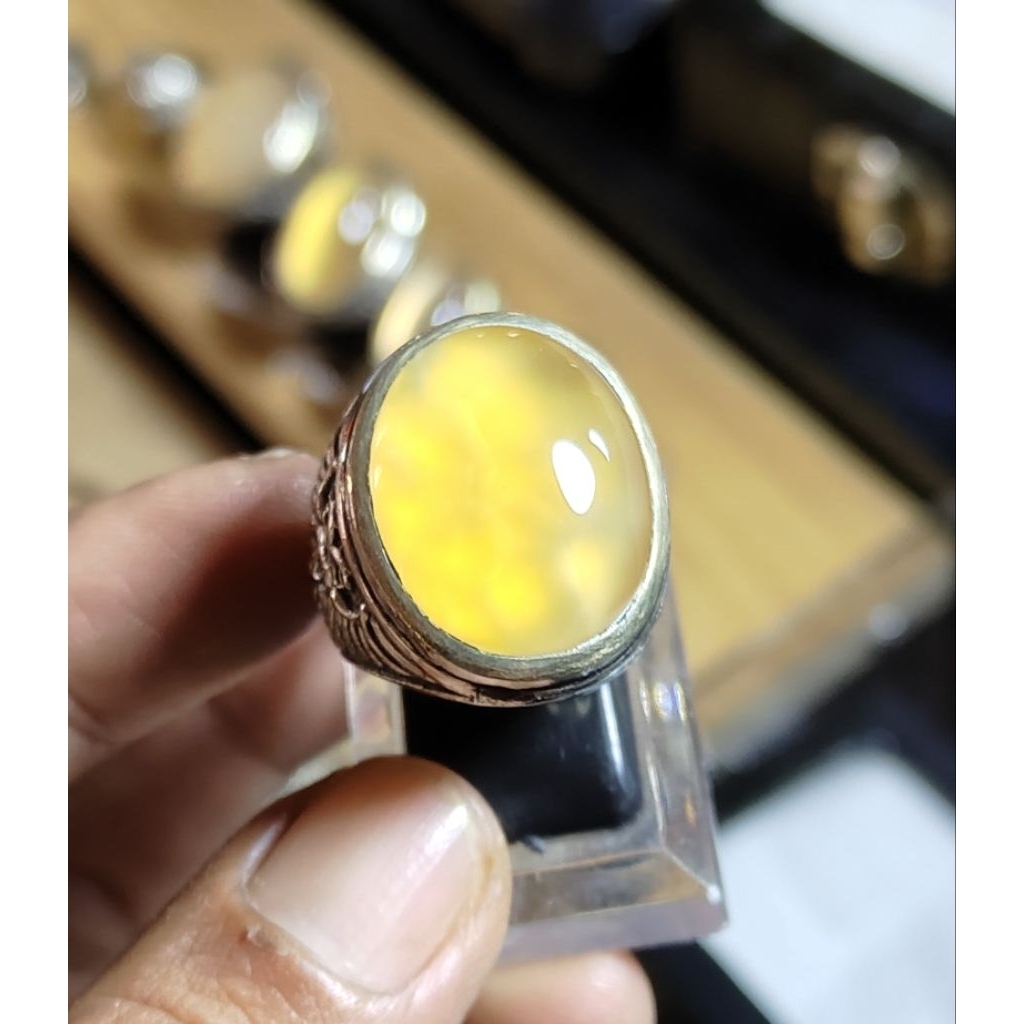 batu akik serat punggung kura golden tua Supreme Pacitan