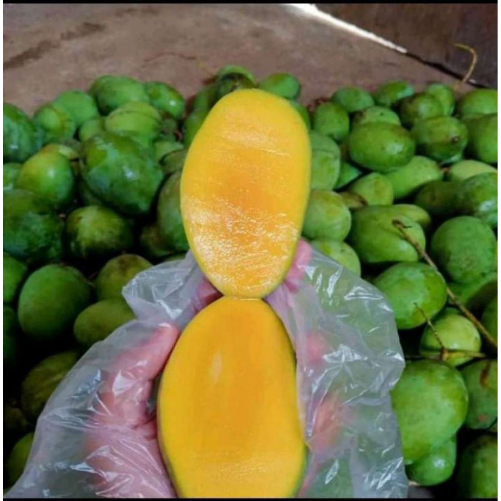 Mangga Kweni 1 Kg