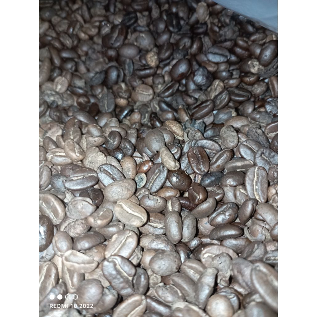 biji kopi arabika dan robusta