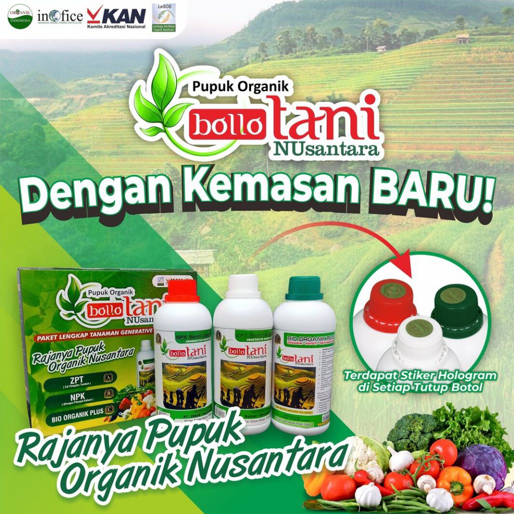 Paket Pupuk BolloTani Lengkap • ZPT + NPK + BIO • Atasi Rontok Bunga & Buah • Untuk Cabe, Tomat, Say