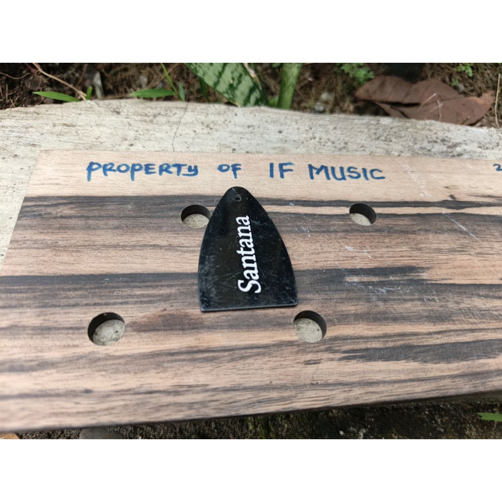 Cover Truss Rod Gitar PRS SE SANTANA