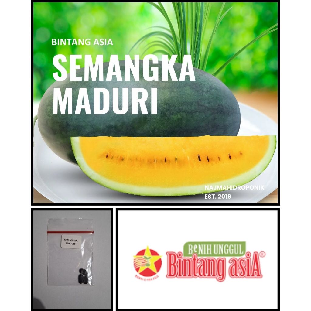 3 Butir Benih Semangka Maduri Repacking (Bintang Asia)