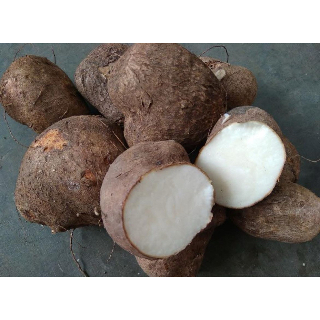 ubi uwi  manis putih -/+ 1kg