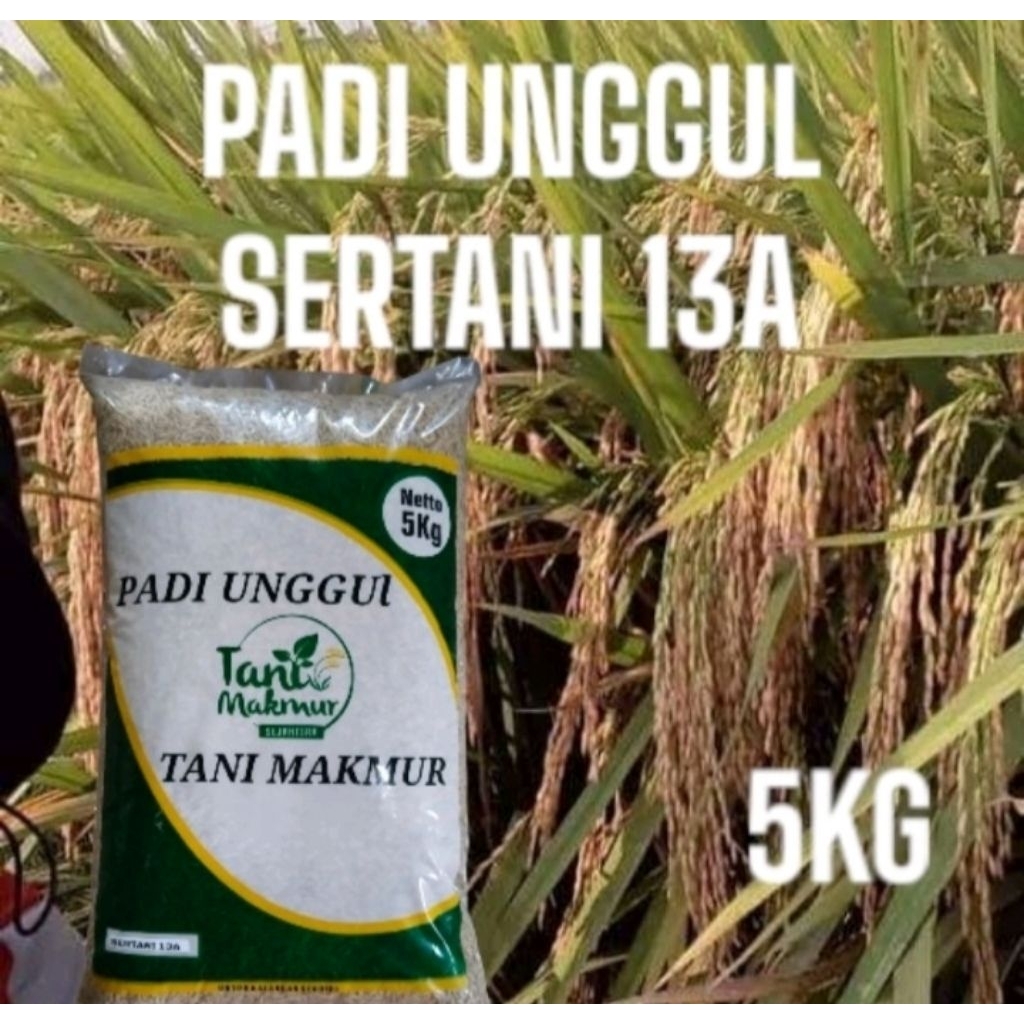 benih padi SERTANI 13A kemasan 5kg