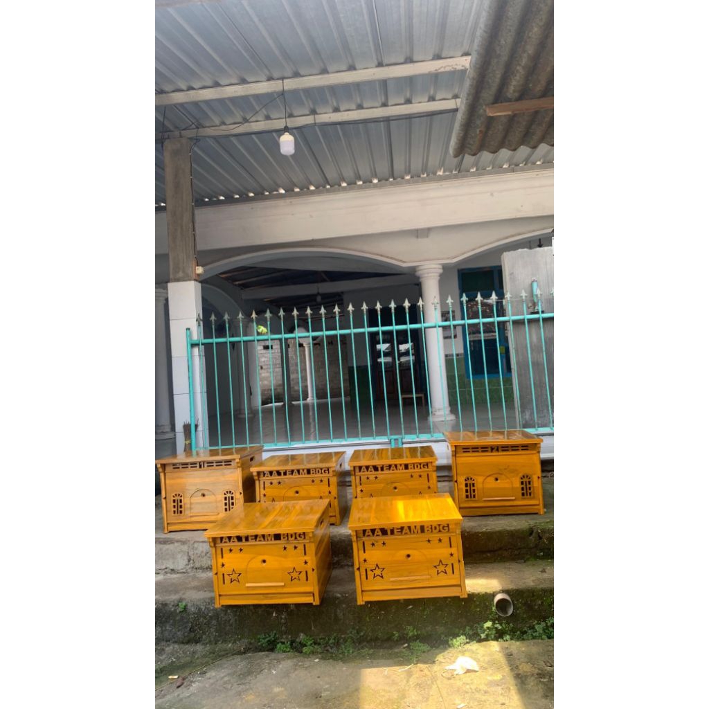 gupon lipat jati jumbo