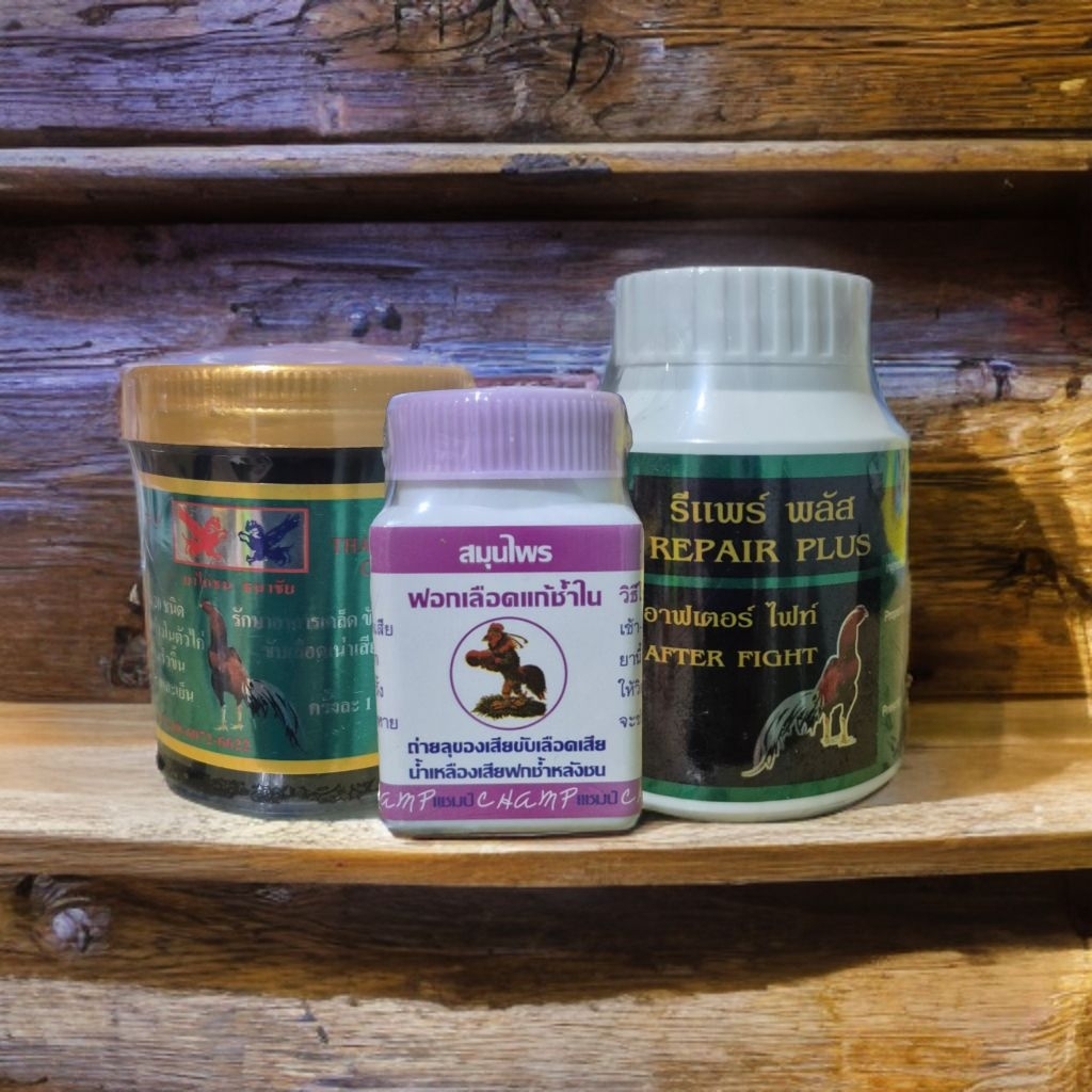 Obat luka dalam Ayam bangkok setelah tarung