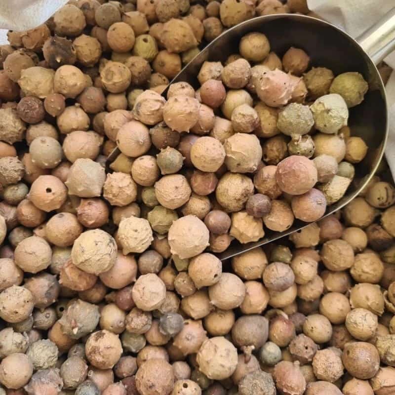 BUAH MANJAKANI 50gram  / BUAH MANJAKANI BEN RAPAT