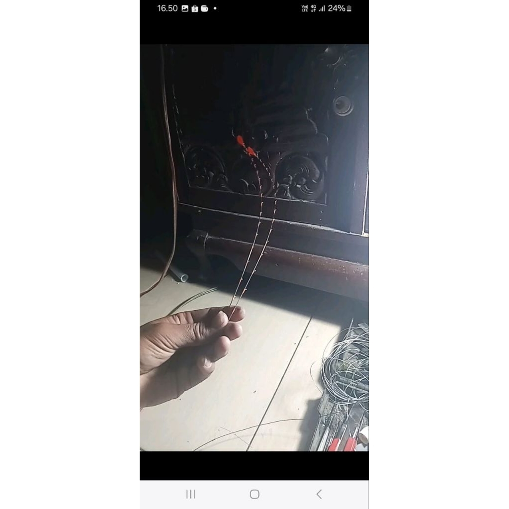 Entul wwl,entul wadaslintang, entul waduk