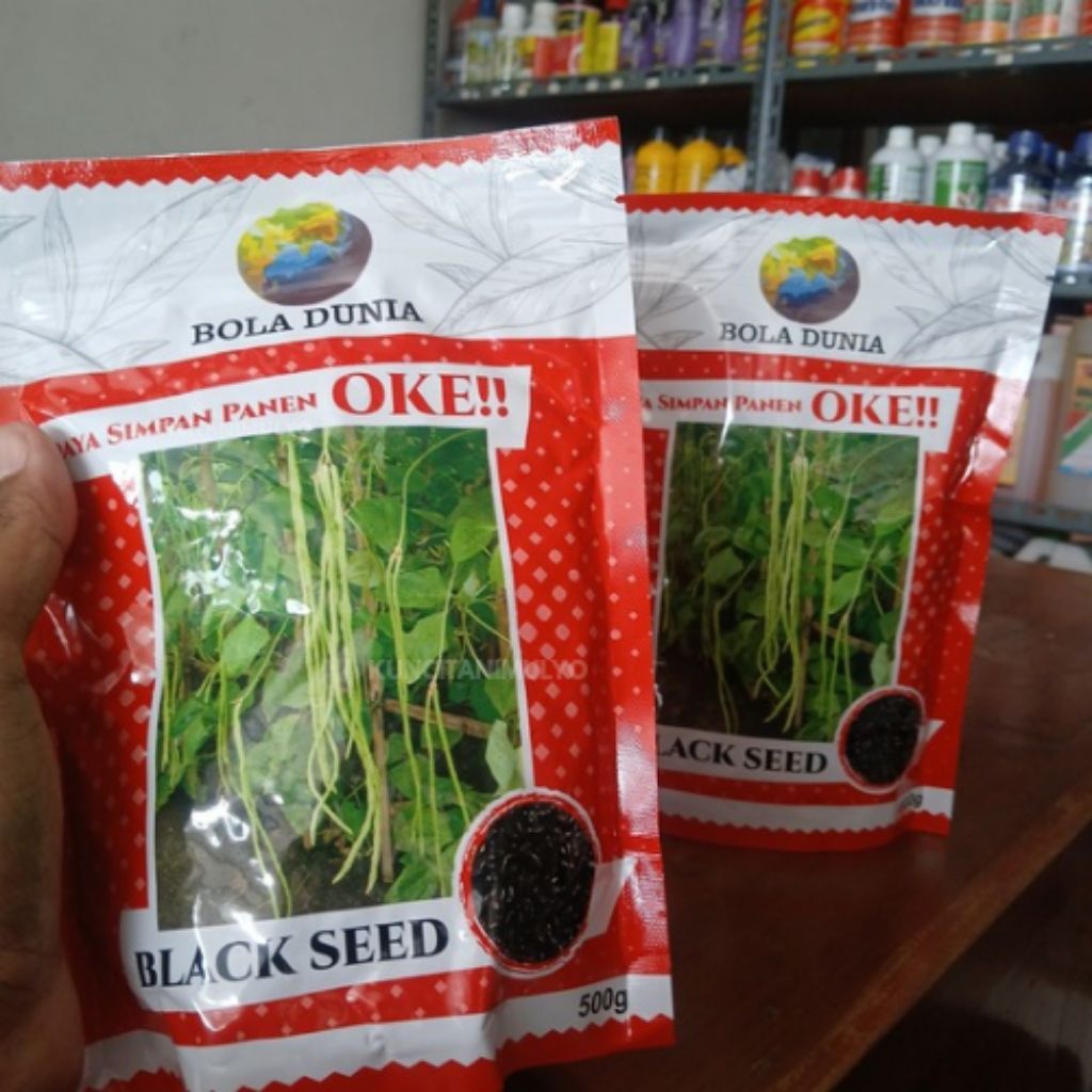 Benih Kacang Panjang Black Seeds Dari Bola Dunia (500 gram)