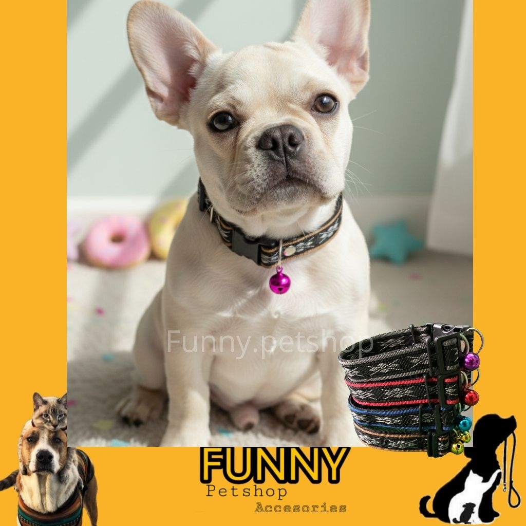 kalung anjing/ tali penuntun anjing / kalung + tali anjing besar