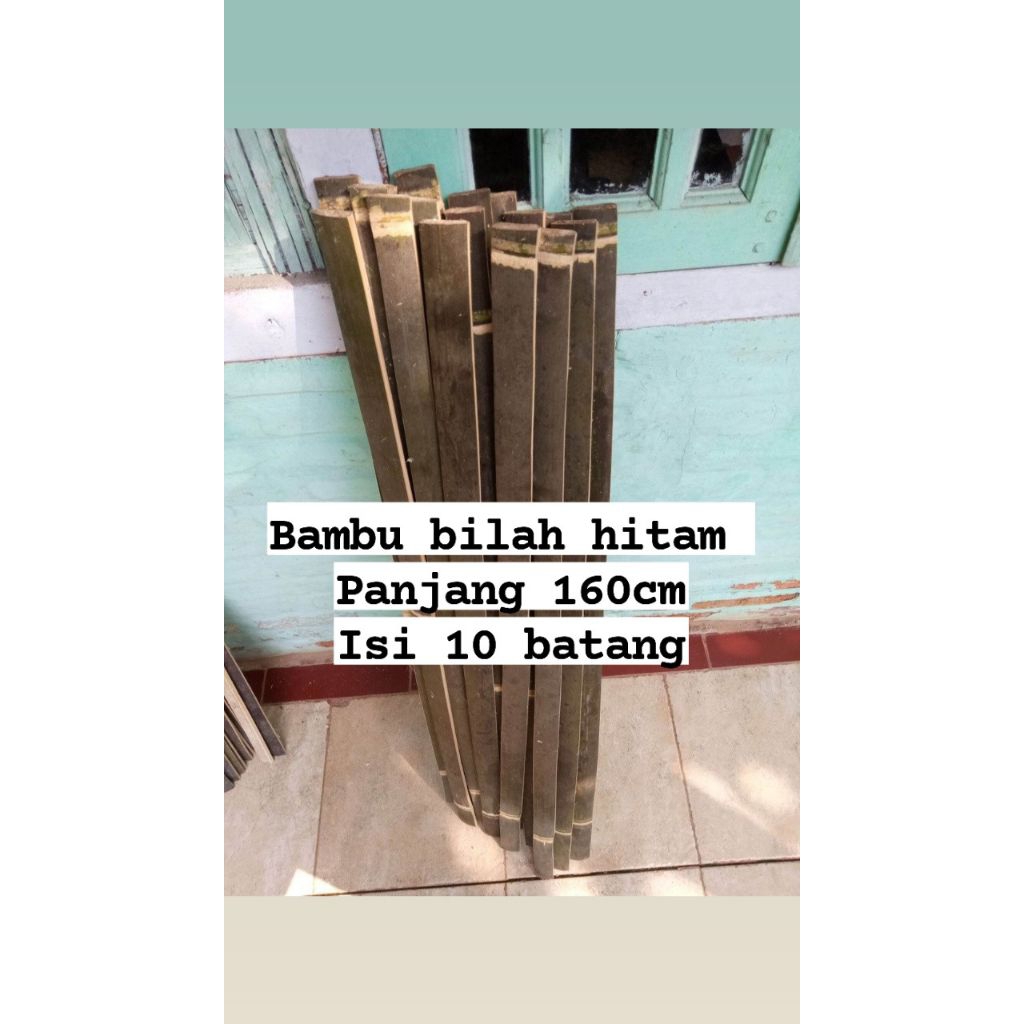 bambu bilah Bambu hitam alami asli. panjang 160cm