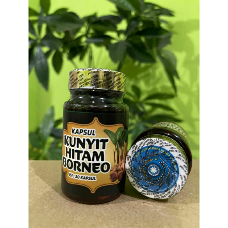 Kapsul Kunyit Hitam Borneo