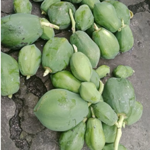 SAYUR PEPAYA MUDA 1 BUAH UTUH/SAYUR PEPAYA MUDA SEGAR/TUMIS PEPAYA MUDA/PEPAYA MUDA FRESH/SAYUR ONLI
