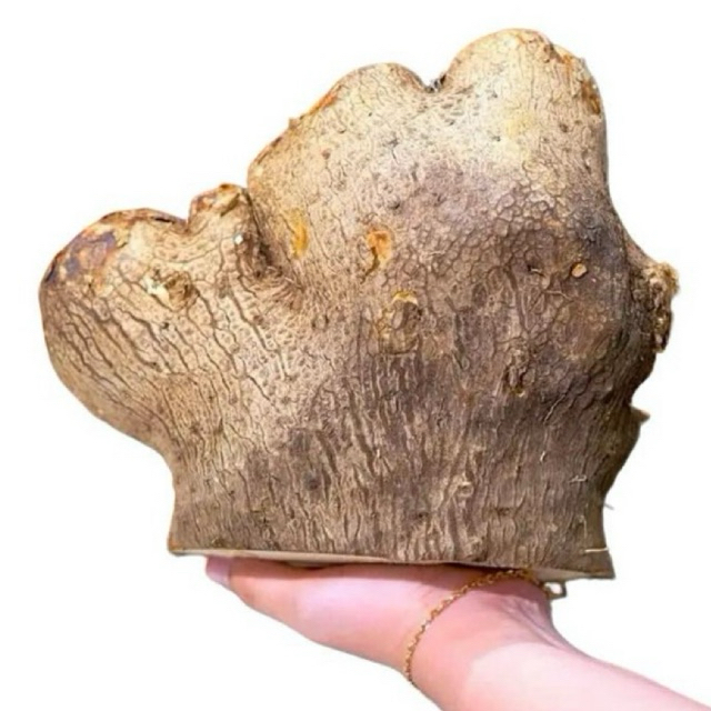 UMBI UWI 1KG/UWI TUBAN MANIS /UWI PUTIH PULEN MANIS/UBI UWI SEGAR/MAKANAN TRADISIONAL/MAKANAN LANGKA