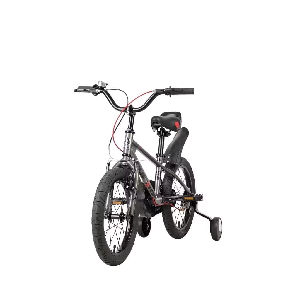 SEPEDA ANAK / Kids Bike Element Fortix