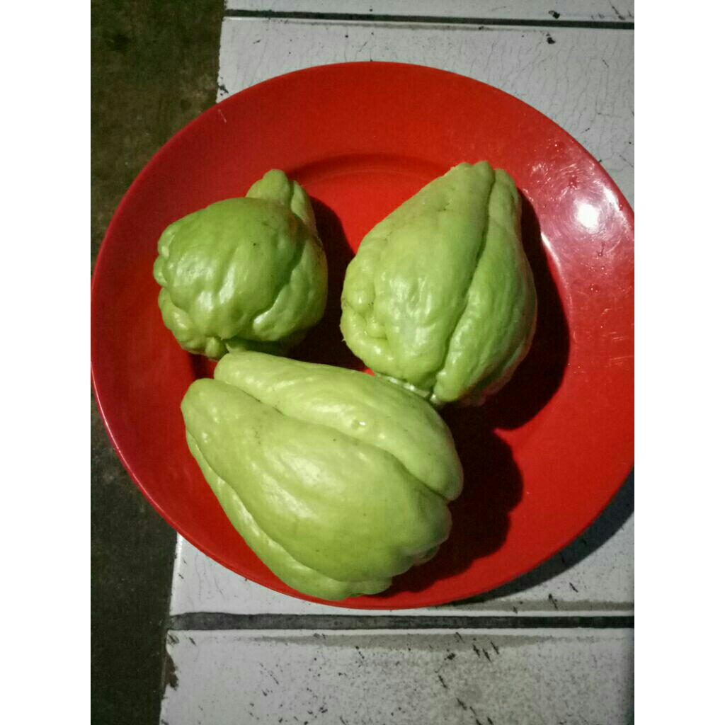 labu siam 1kg.dansatuan.labu siam pres segar dn labu besar