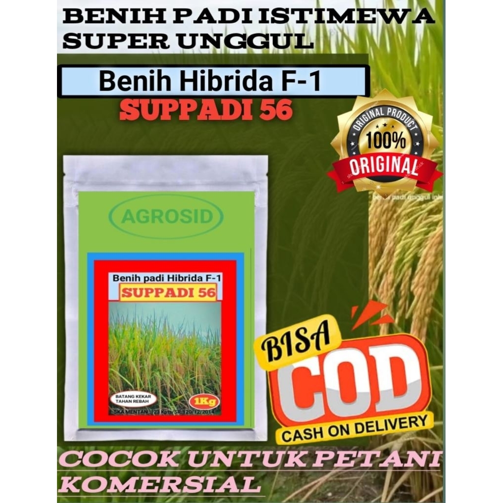 BIBIT BENIH PADI HIBRIDA F1 SUPPADI 56 1KG