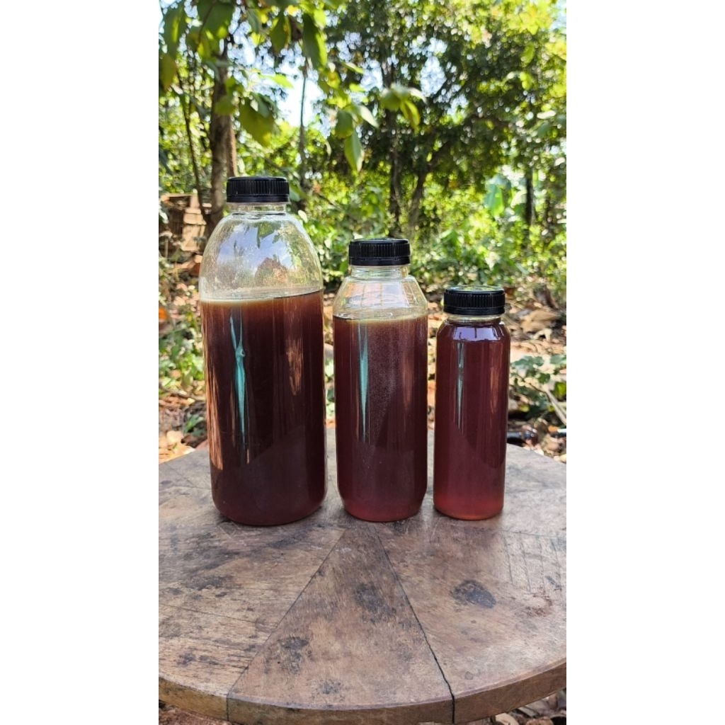 Madu hutan madu hutan sumatera madu hutan sumatera asli madu hutan sumatera dan sumbawa madu hutan s