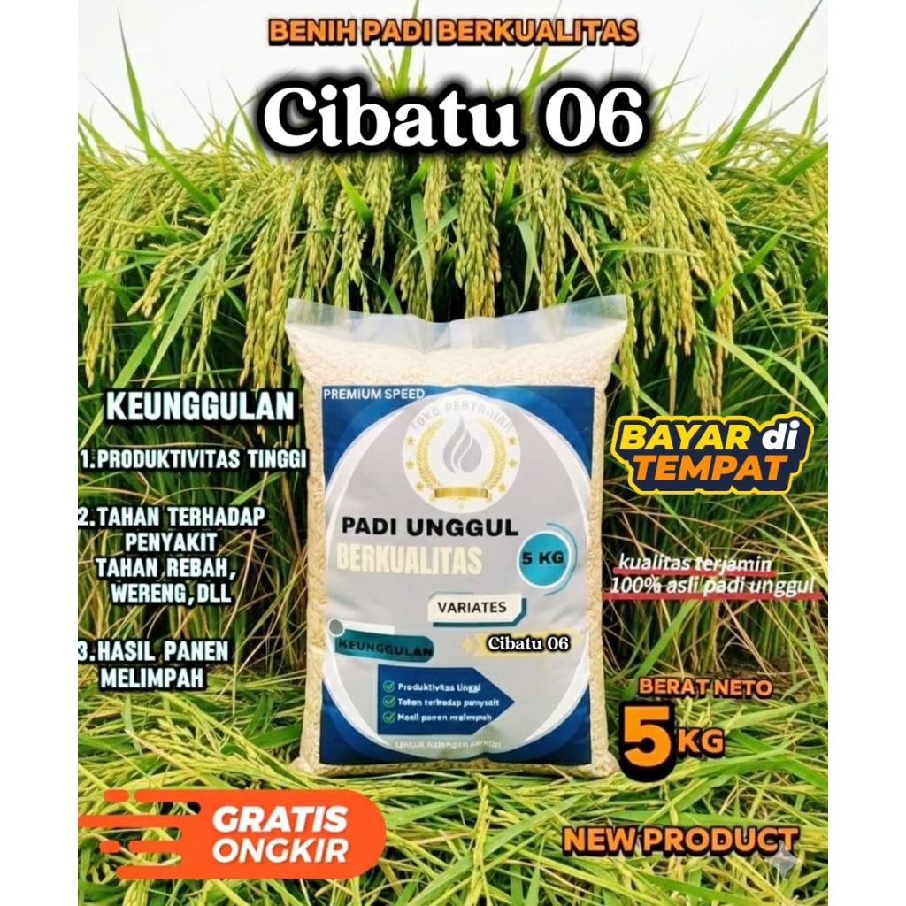 benih padi CIBATU 06 100% Original