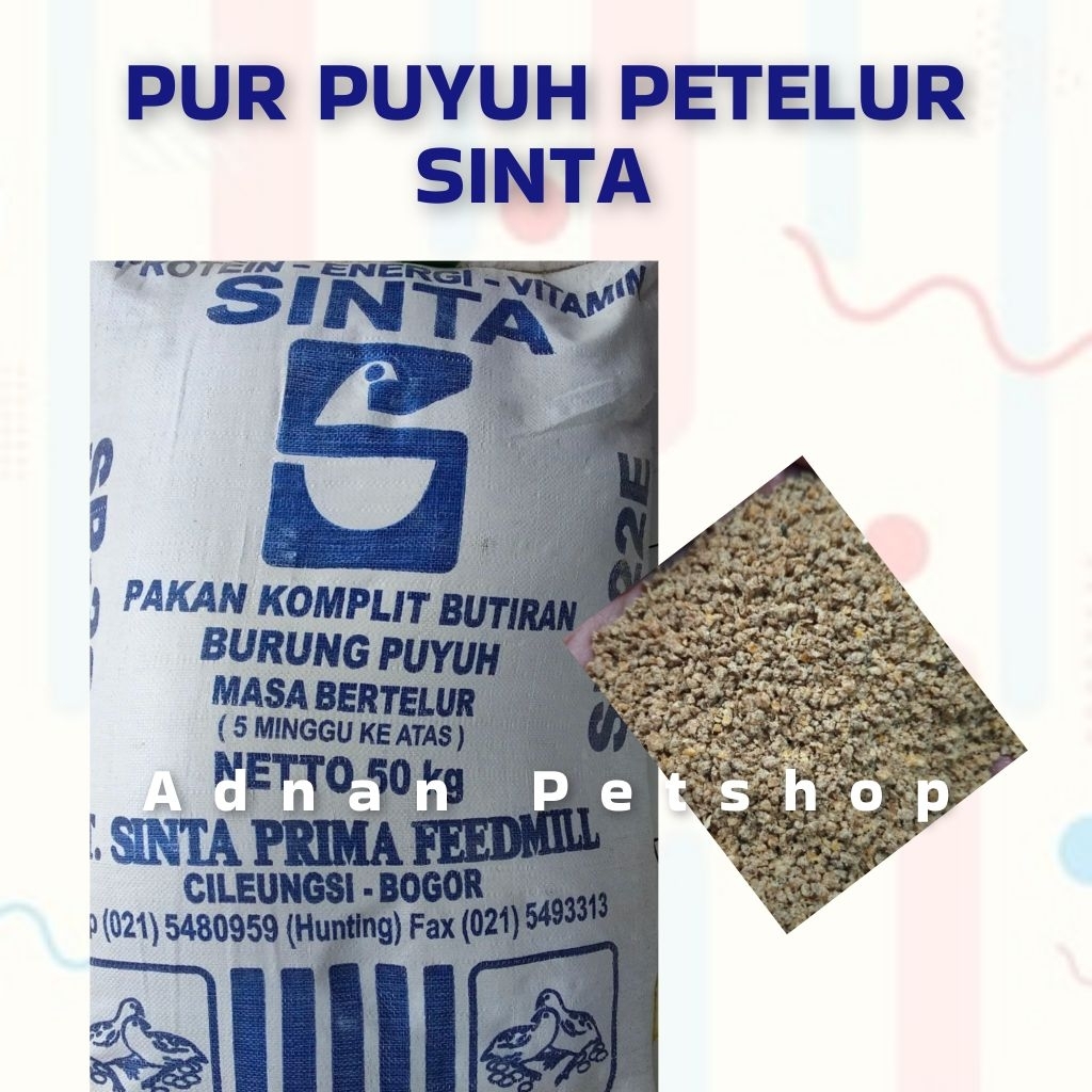 PUR / PAKAN KOMPLIT BURUNG PUYUH PETELUR SINTA TERMURAH