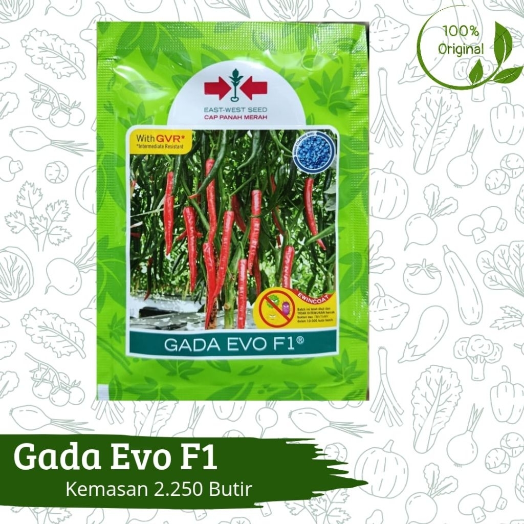 Benih Bibit Biji Tanaman Lombok Cabai Cabe Besar Gada Evo F1 2.250 Butir Cap Panah Merah Asli Ori
