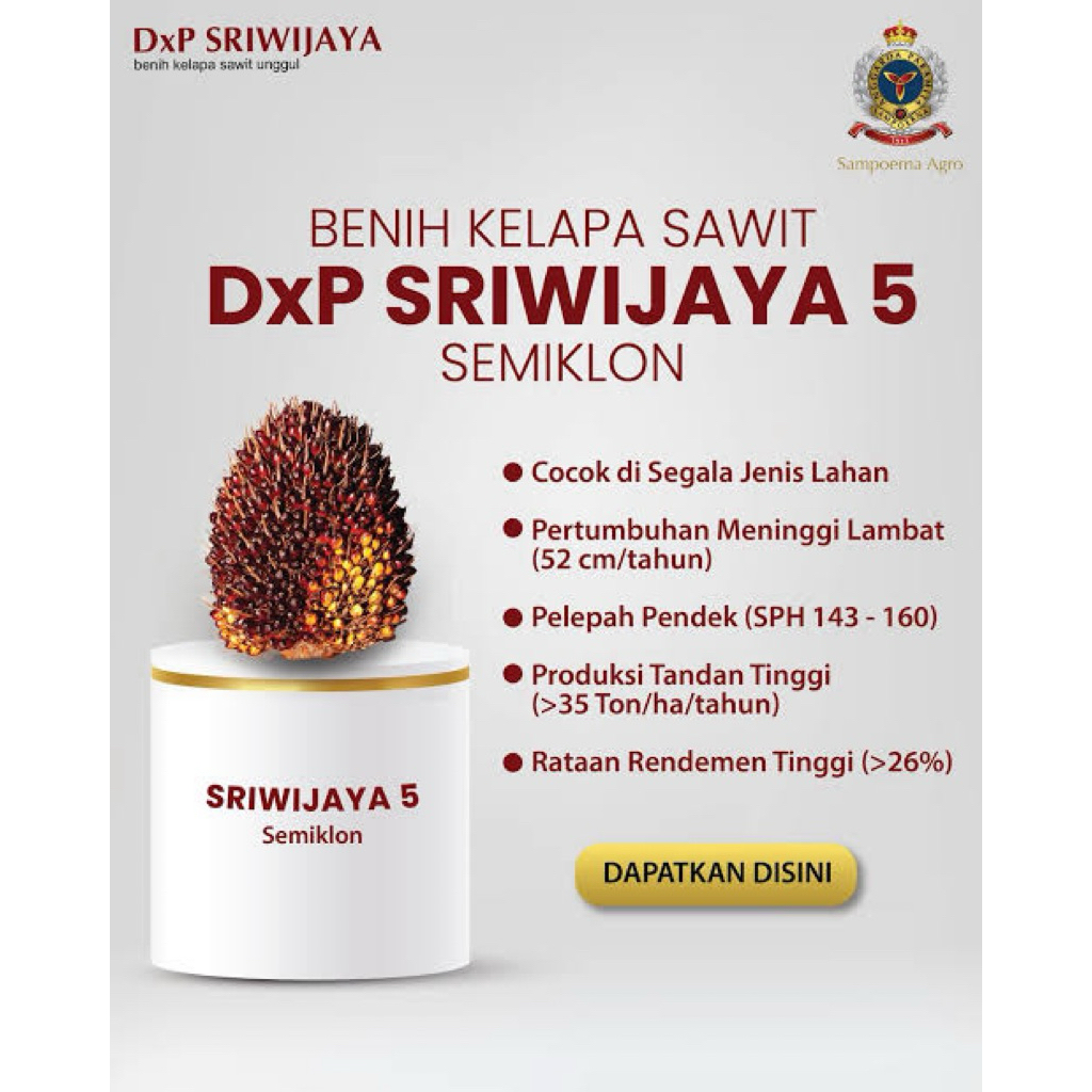 KECAMBAH SRIWIJAYA 5