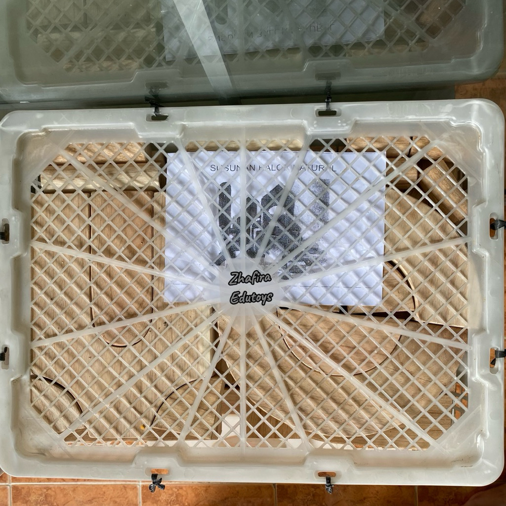 Balok PDK Natural Kayu Mindhi