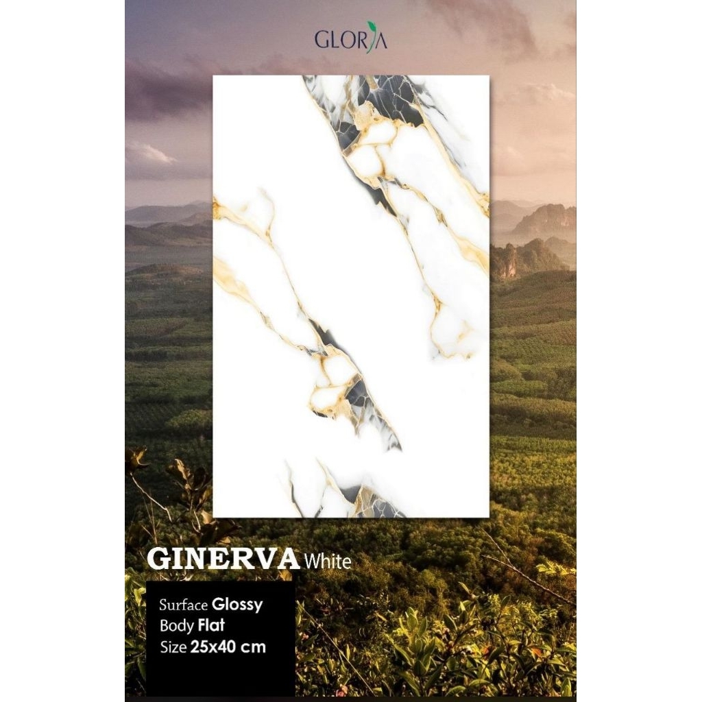 Keramik dinding kamar mandi ukuran 25x40 cm