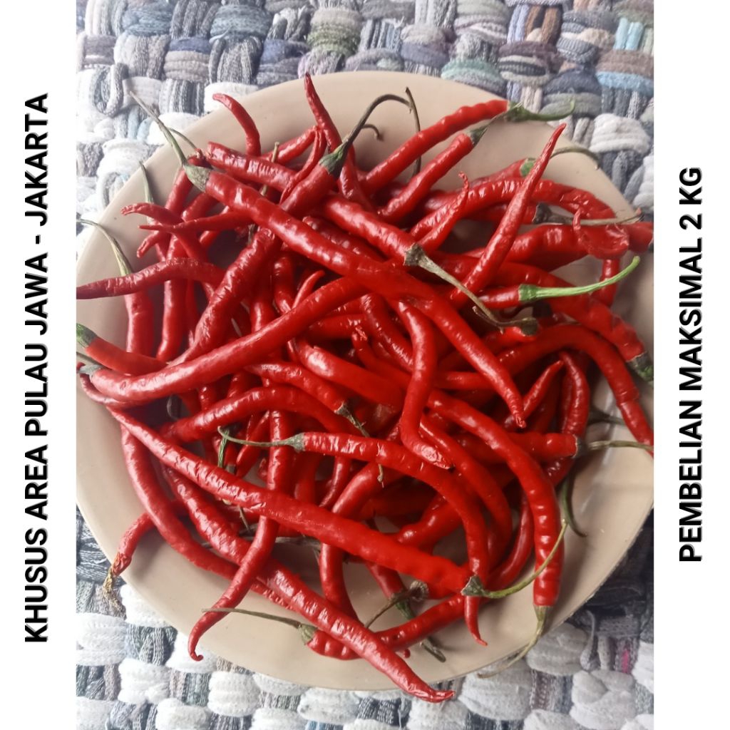 Cabe Merah Keriting Kiloan 1/4 kg 250gr Cabai Kriting Lombok Segar Fresh - Aneka Bumbu Dapur