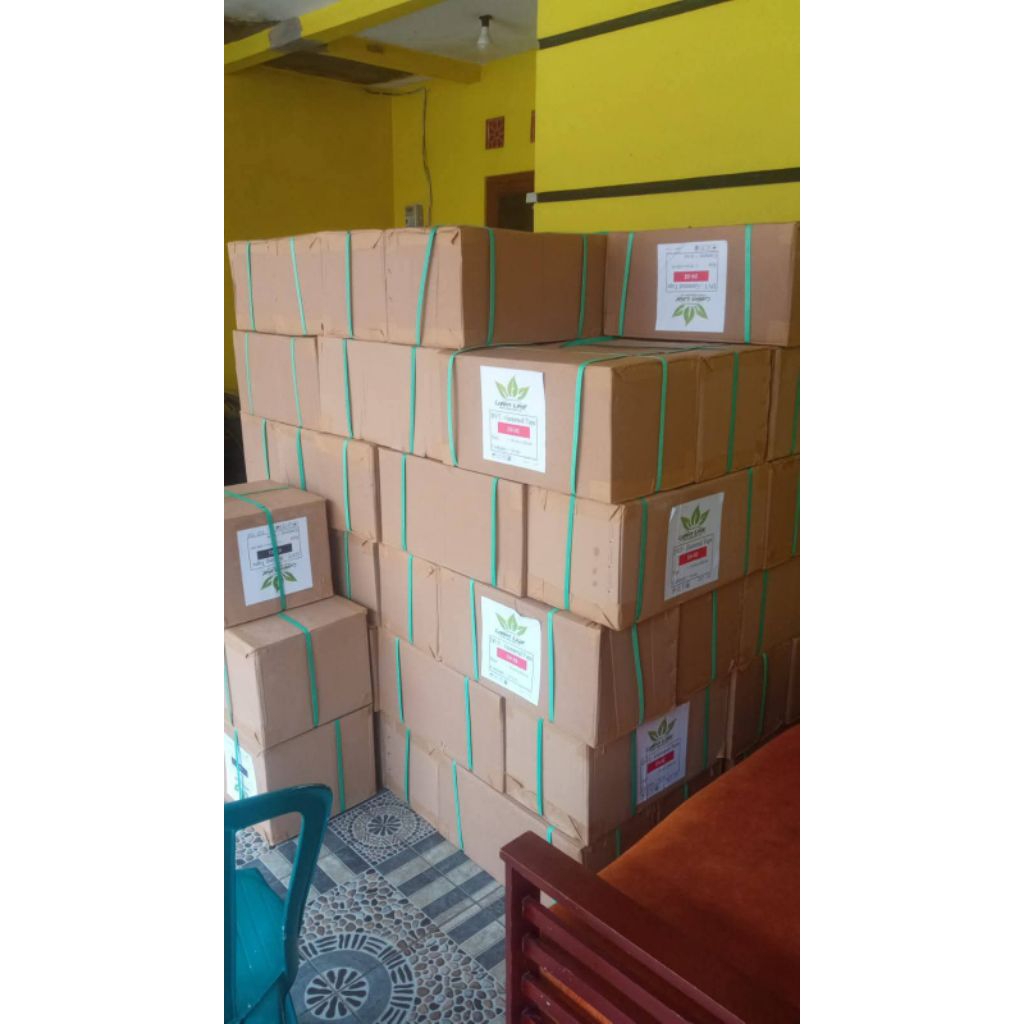 gummed tape green leaf