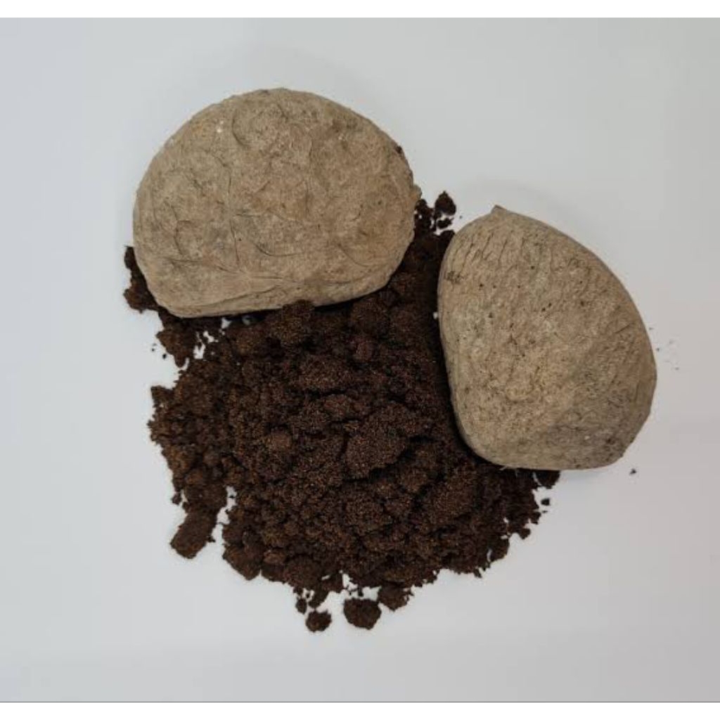 Kluwek Bubuk / Kluwak Bubuk Kemasan 1kg