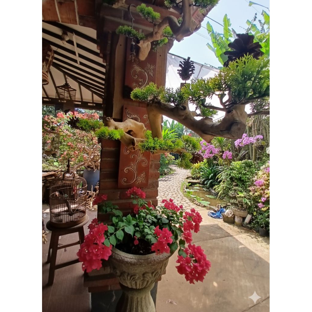 Gantungan Sangkar burung murai /Gantungan Sangkar burung estetik/ Bonsai Meja  Gantungan Sangkar bur