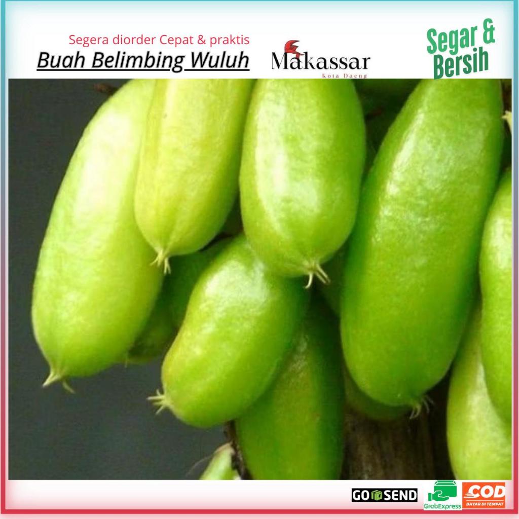 Belimbing Wuluh segar Buat Sambel,Pasar Makassar,Fresh Makassar,Belimbing Wuluh Murah Perpaket