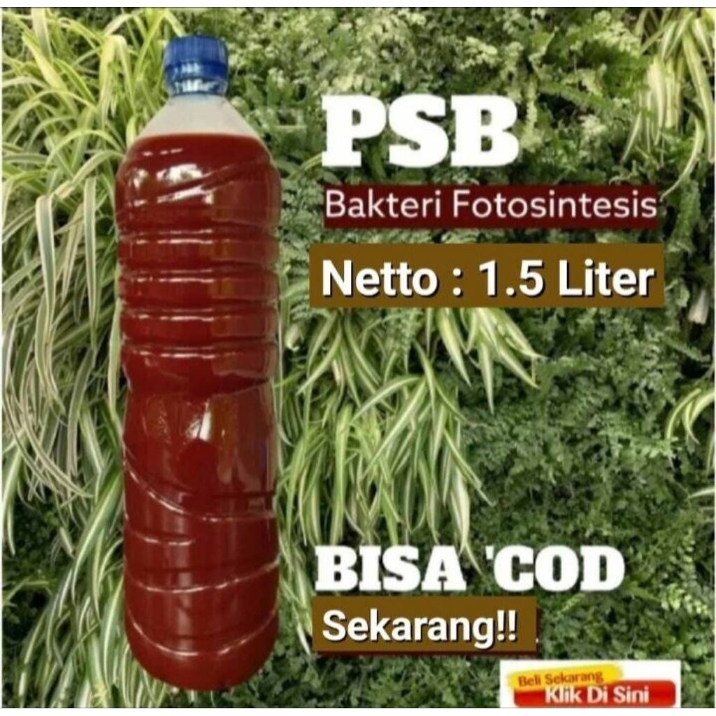 PSB BAKTERI FOTOSINTESIS 1,5 LITER/Pupuk Cair  Organik