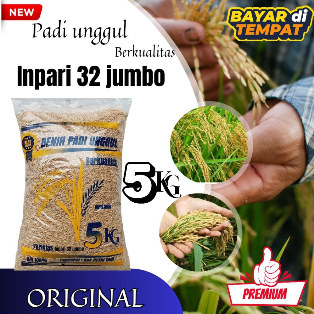 BENIH PADI INPARI 32 JUMBO 5KG