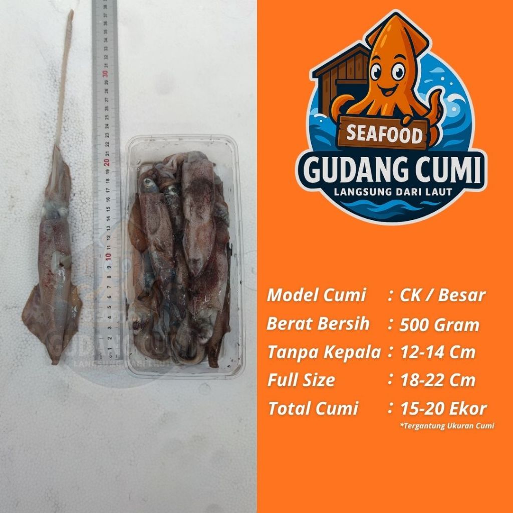 Cumi CK Jumbo Segar 500g Tinta Kenyal Cumi Fresh Cumi Segar Cumi Asin