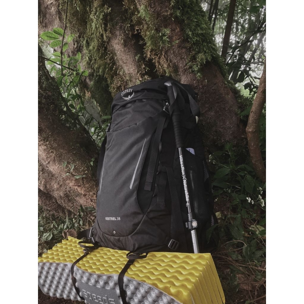 Carrier Osprey Kestrel 38 Original