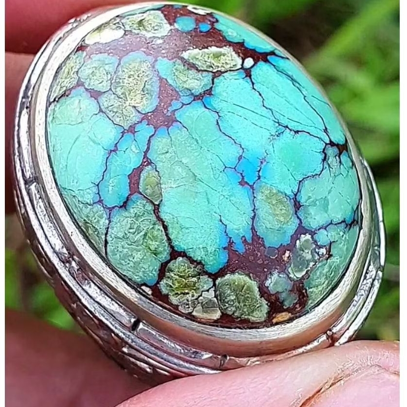 pirus mesir serat merah biru mantapp