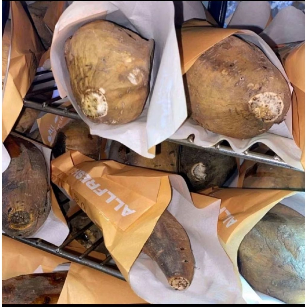 ubi cilembu madu matang ubi manis asli madu cilembu oven 500 gram