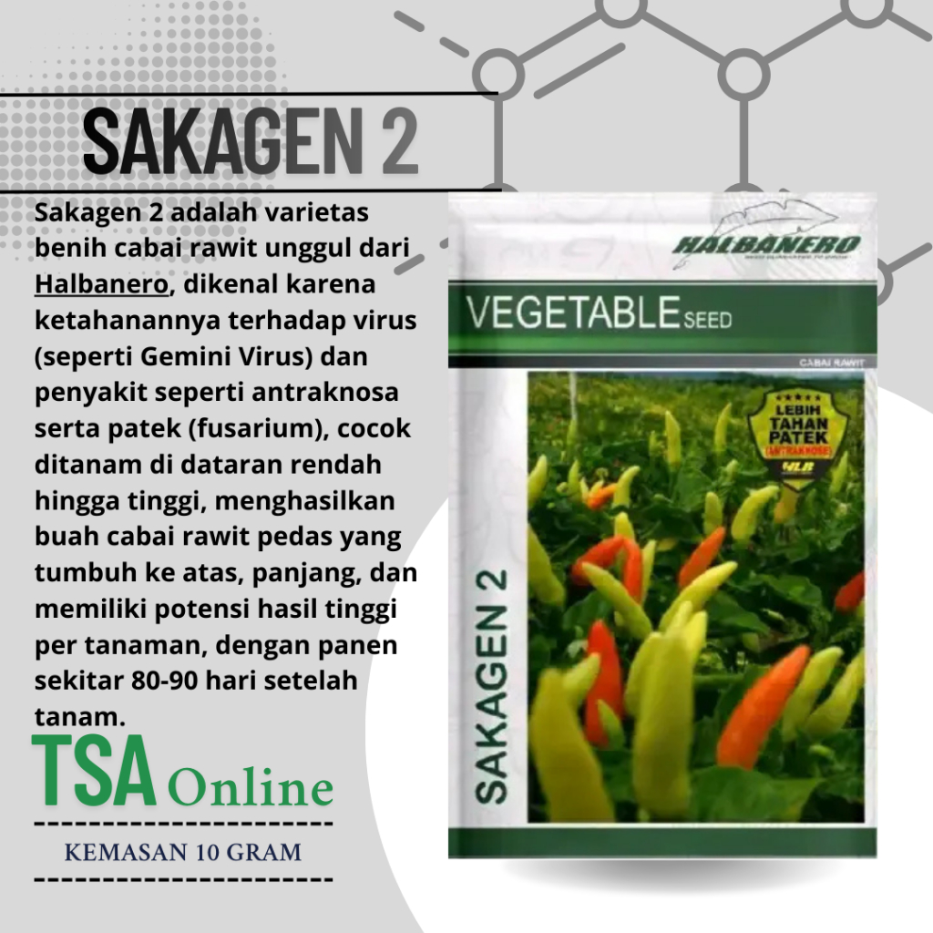 SAKAGEN 2 10gr - Benih bibit biji cabai cabe rawit besar tahan patek HALBANERO
