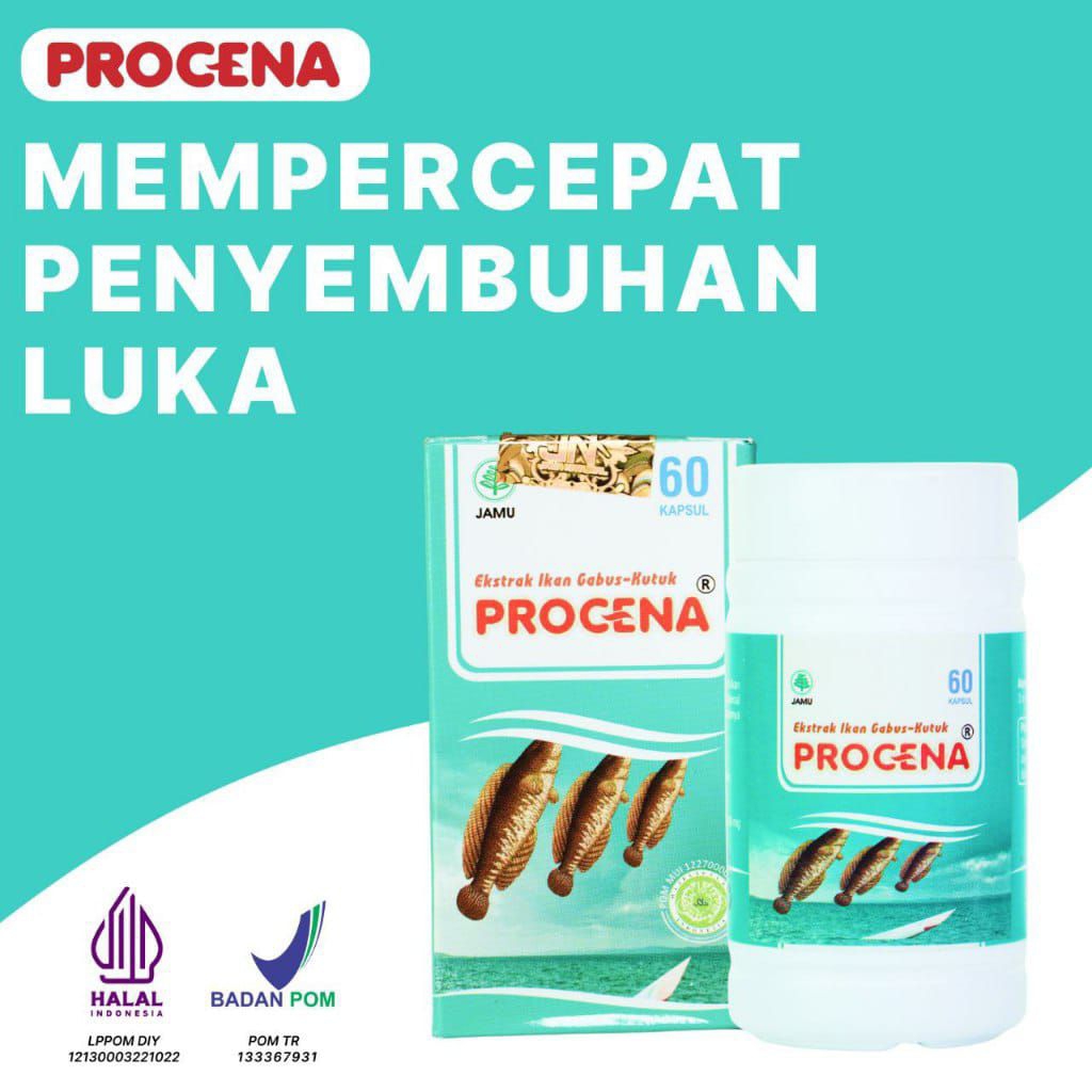 PROCENA Ekstrak Ikan Gabus Kutuk - Kapsul Procena - Ekstrak Ikan Gabus Isi 60 Kapsul