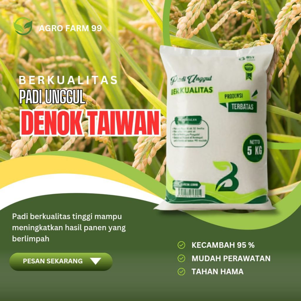 BENIH PADI DENOK TAIWAN