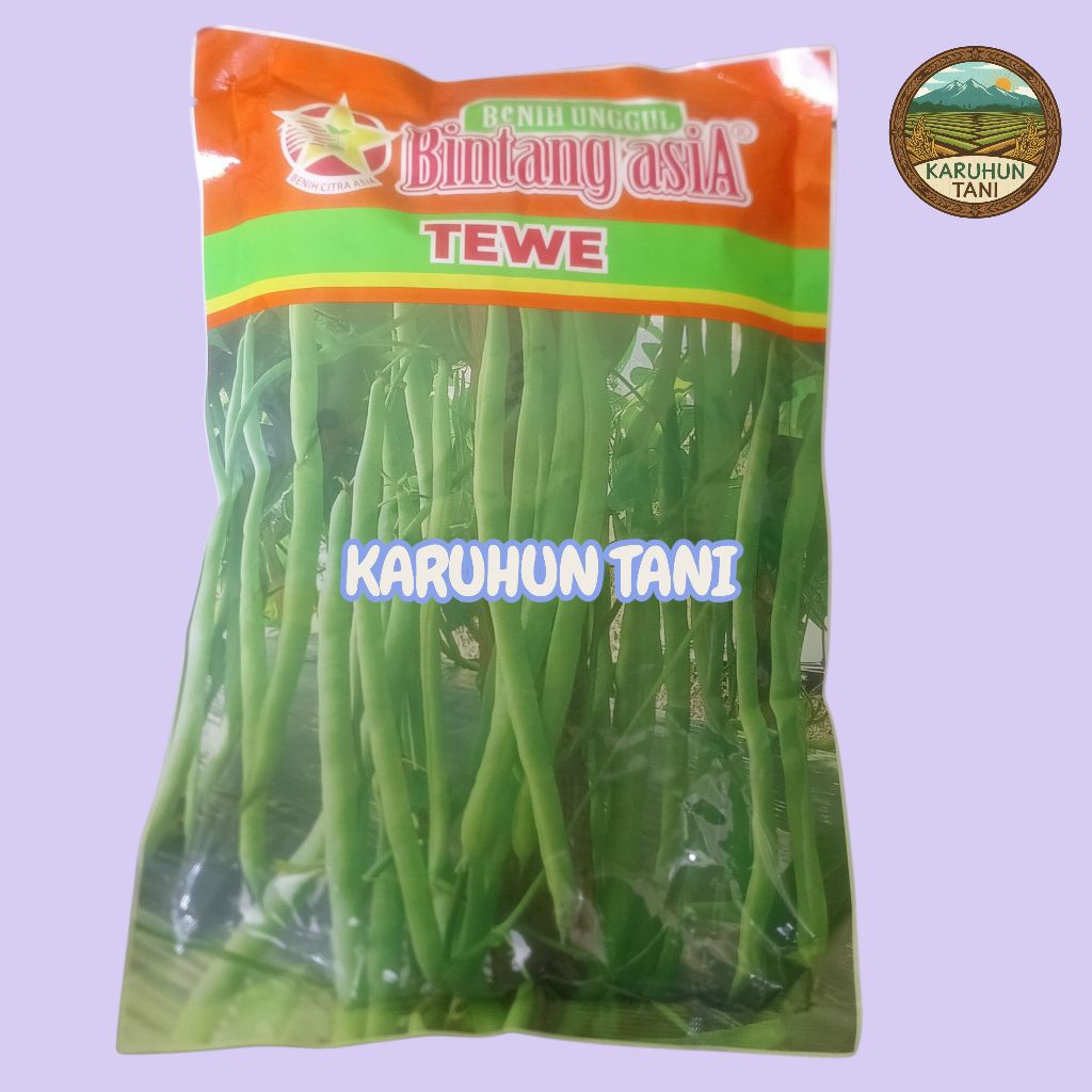 Benih Unggul TEWE Buncis 500 Gram
