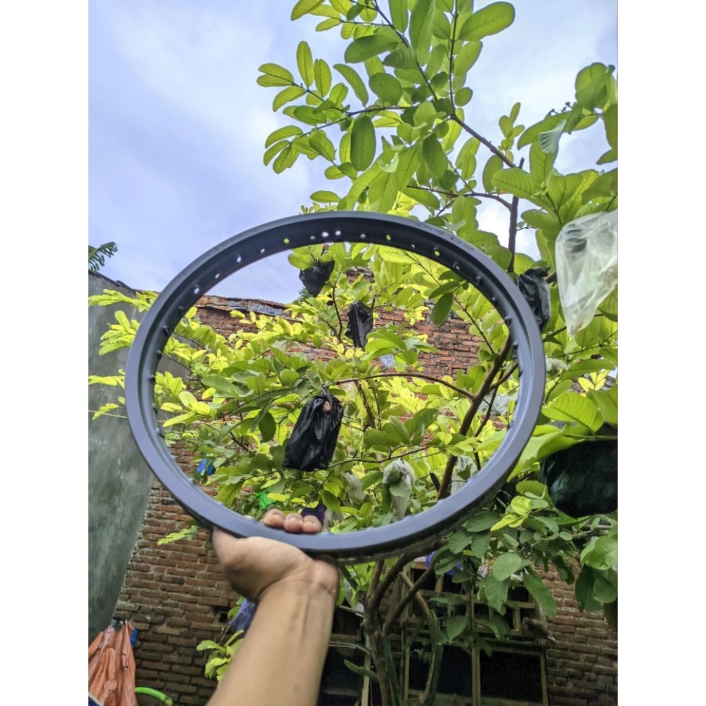 lingkaran velg did japan original 140 ring 17