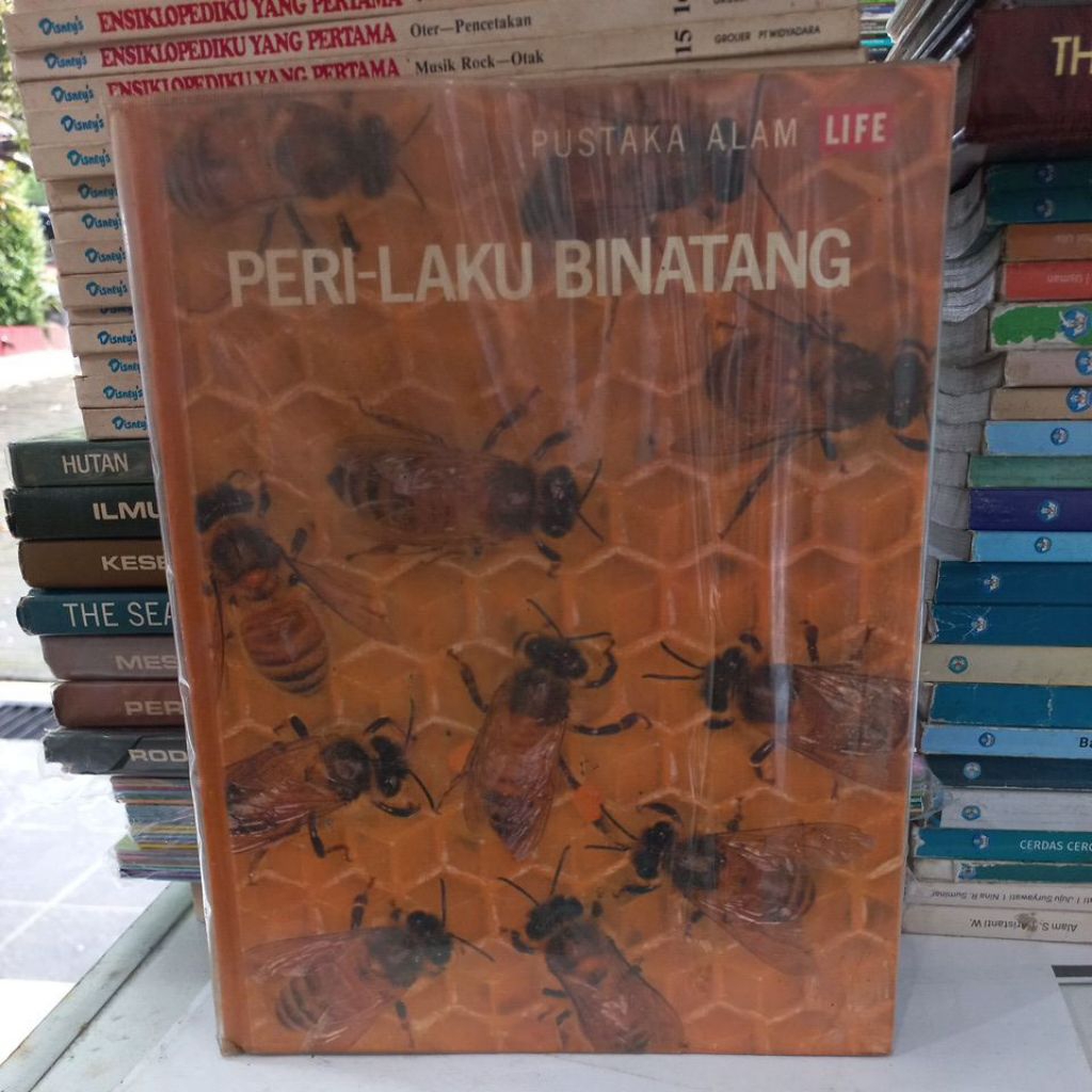 Buku perilaku binatang ( hard cover second )