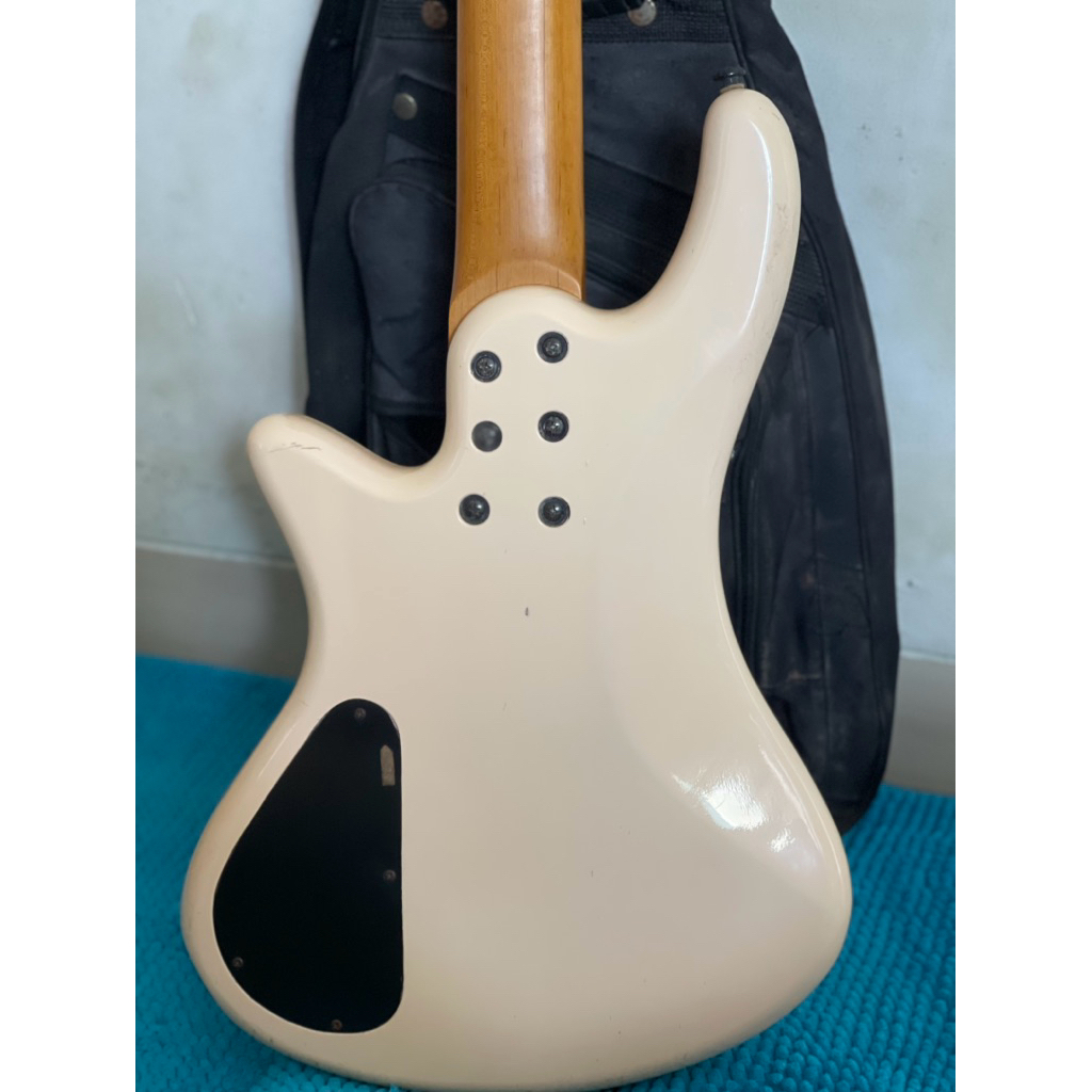 bass schecter 5 senar