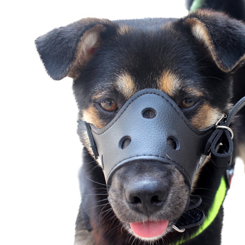 Masker penutup mulut anjing brongsong berangus anjing dog muzzle kulit sintesis