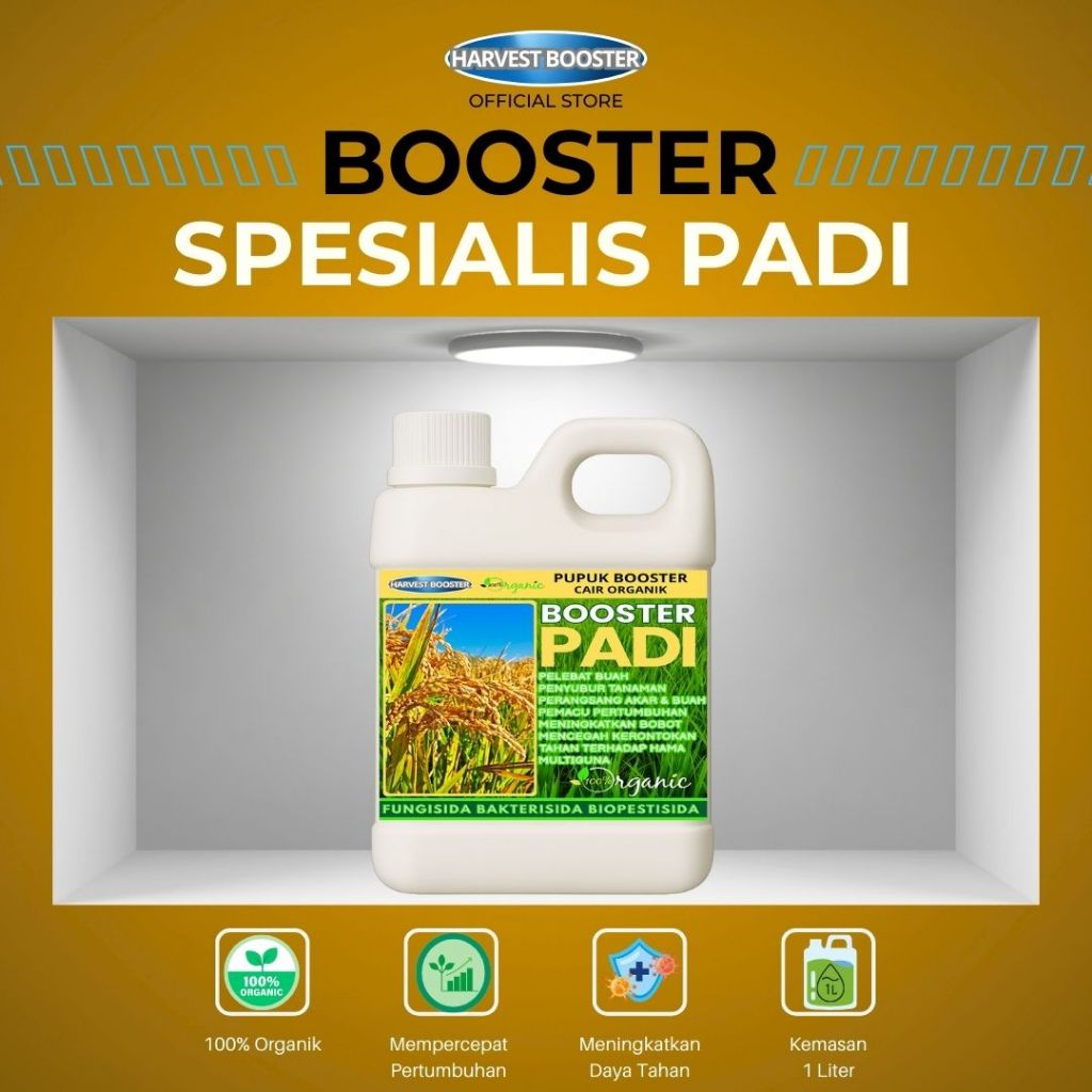 Pupuk Padi Pupuk Cair Pelebat Padi Pupuk Organik Padi Pupuk Memperbanyak Anakkan Padi