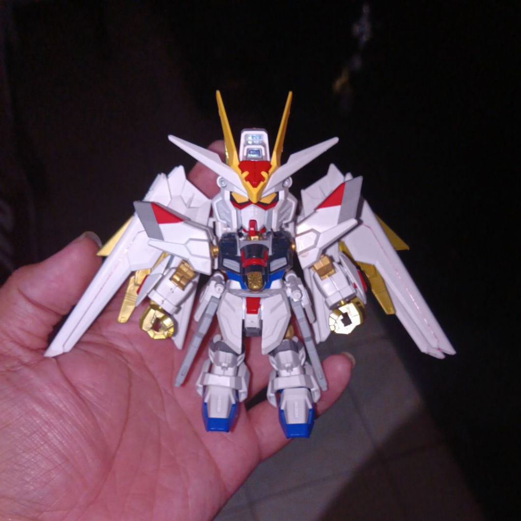 SDCS MIGHTY STRIKE FREEDOM