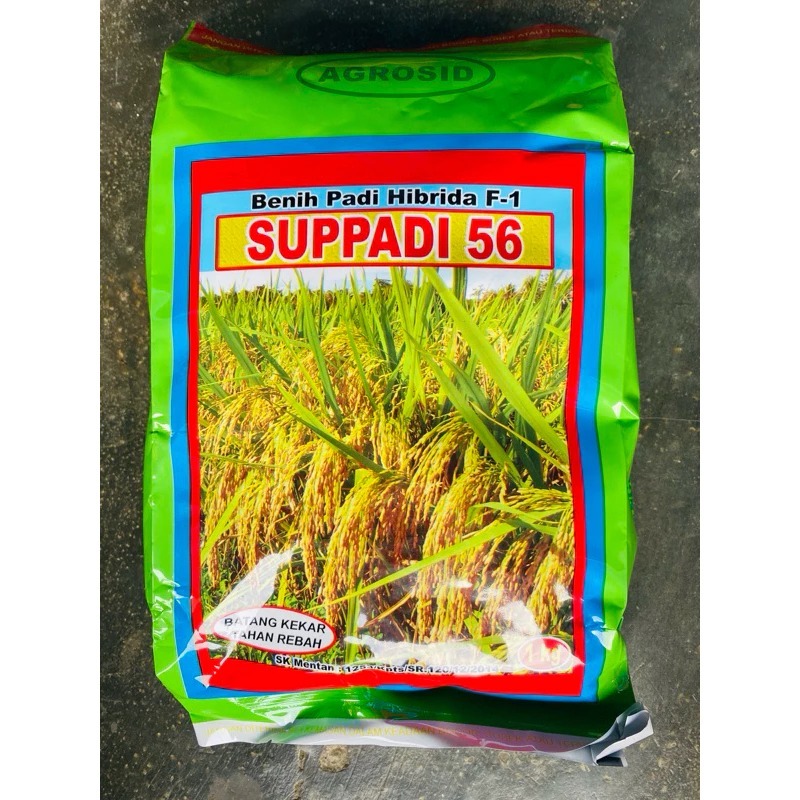 Benih Padi Hibrida Supadi 56 1 Kg Super Pulen